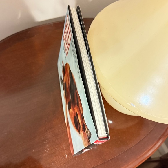 The Art of Big Hero 6 (Disney) by Jessica Julius - Picture 3 of 6